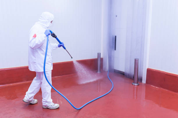 Best Commercial Pressure Washing in Welcome, NC